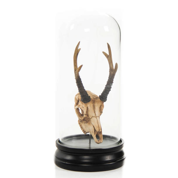 Zentique Goat Skull Wall Décor & Reviews Wayfair